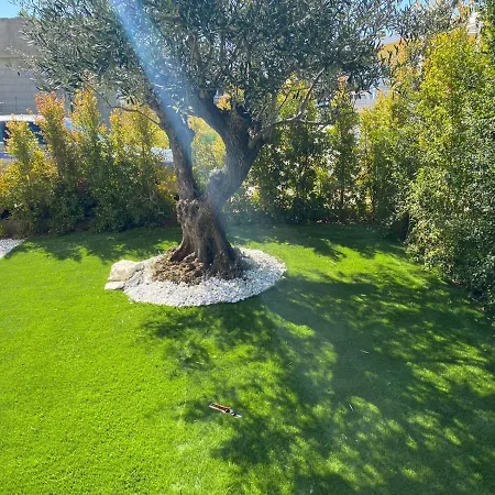 Agamennone Апартаменты